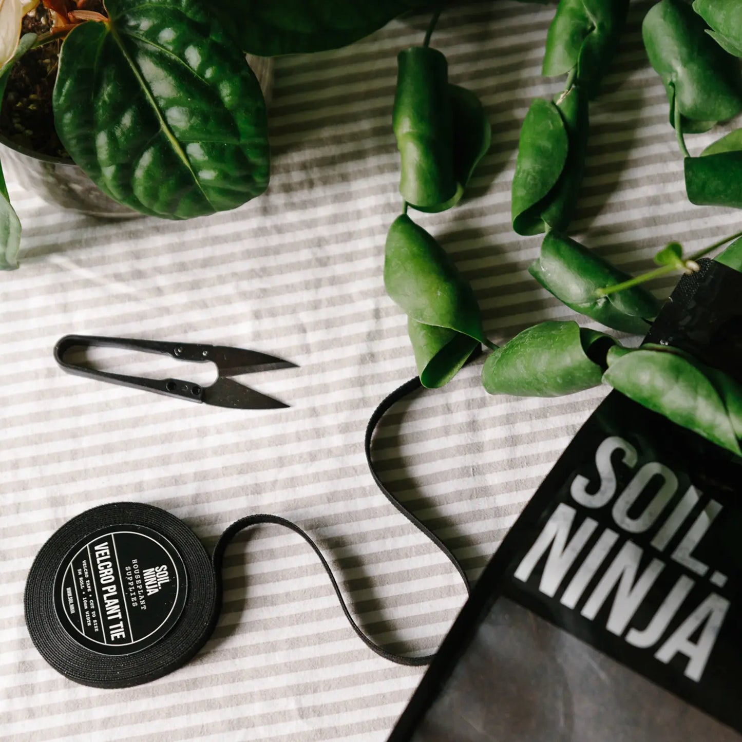 Houseplant Snips