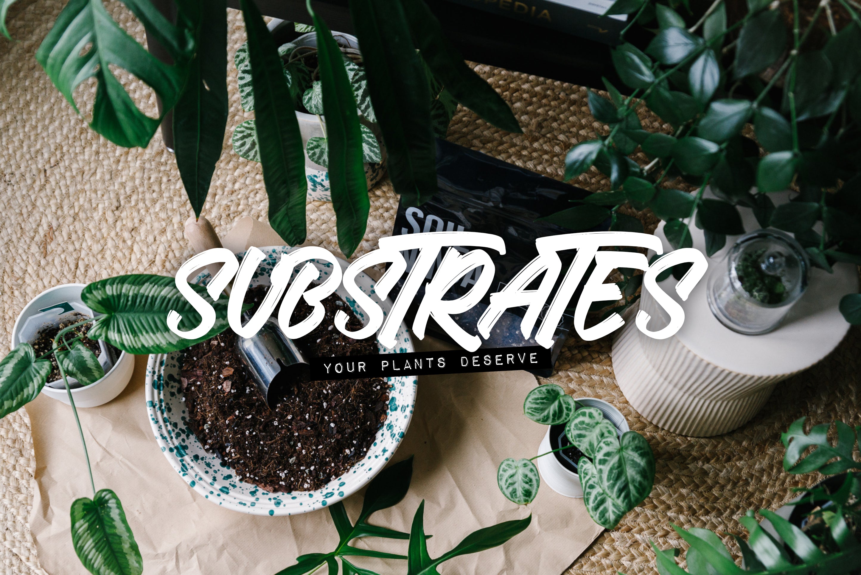 Give Your Plants The Dirt They Deserve – Soil Ninja