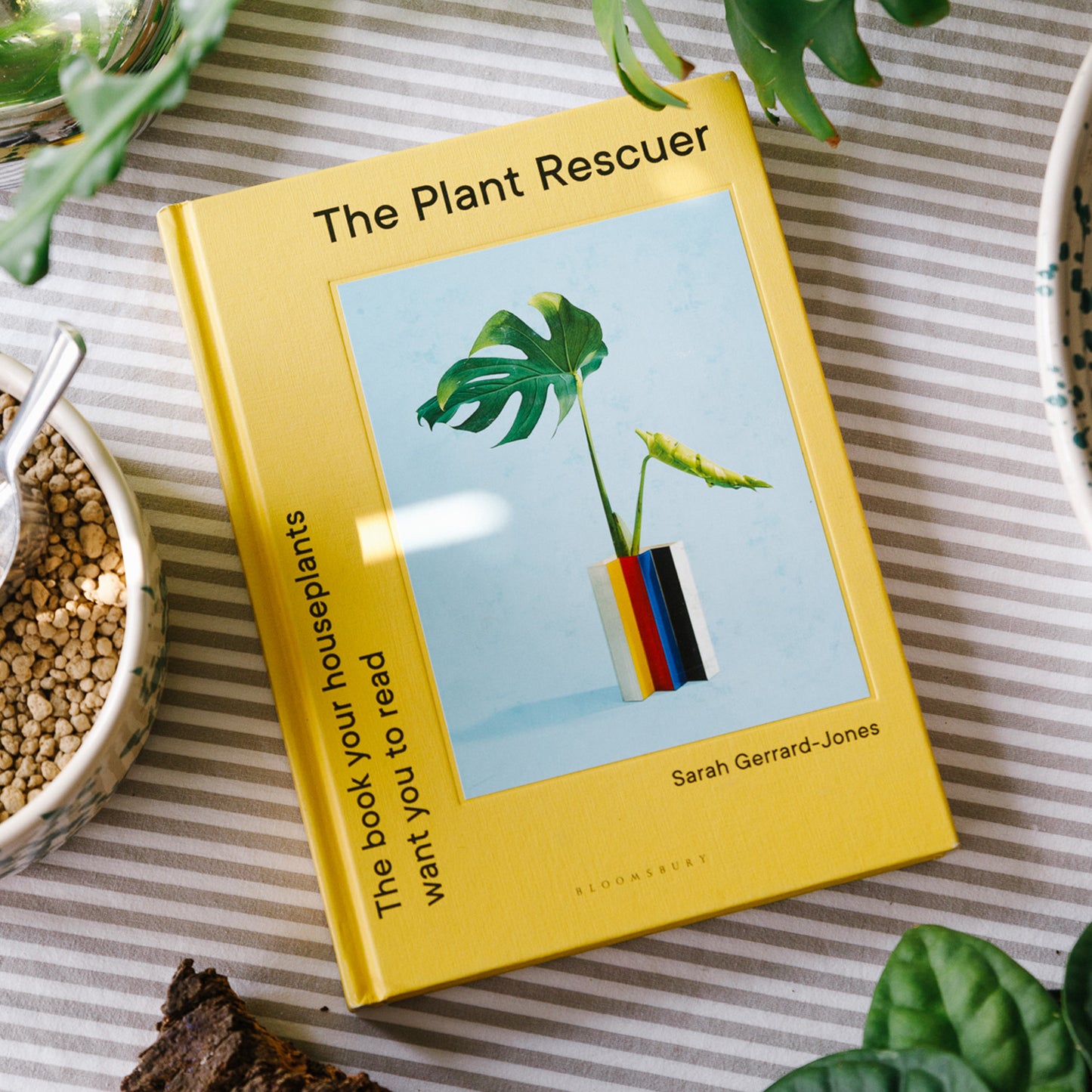 The Plant Rescuer - Sarah Gerrard-Jones