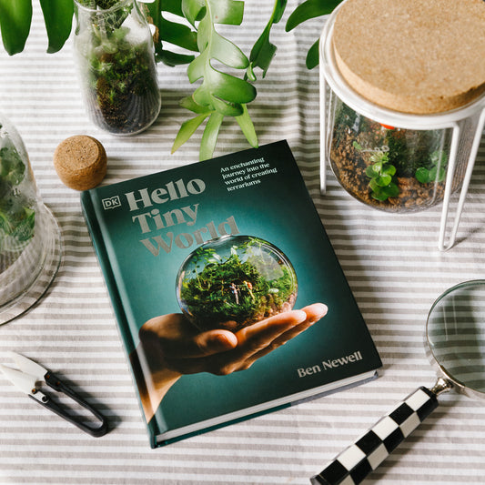 Hello Tiny World - Ben Newell
