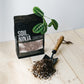 Premium Calathea & Maranta Blend
