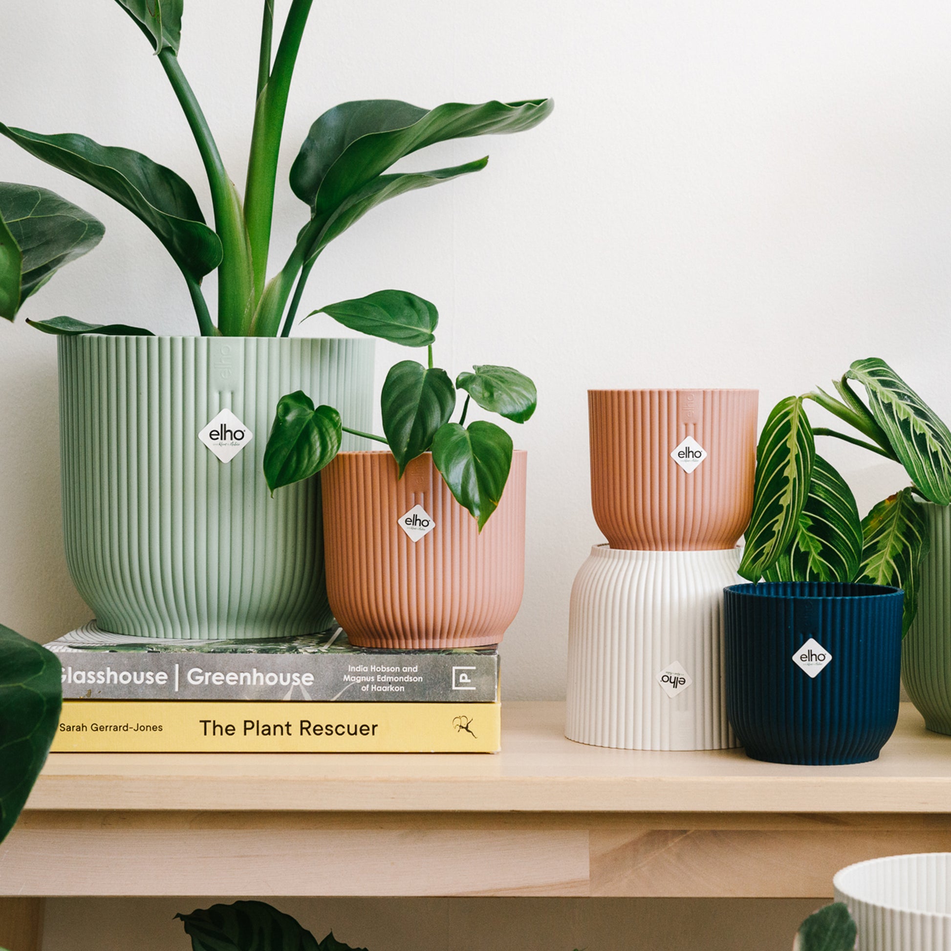elho plastic plant pots Elho