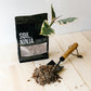 Premium Ficus Blend
