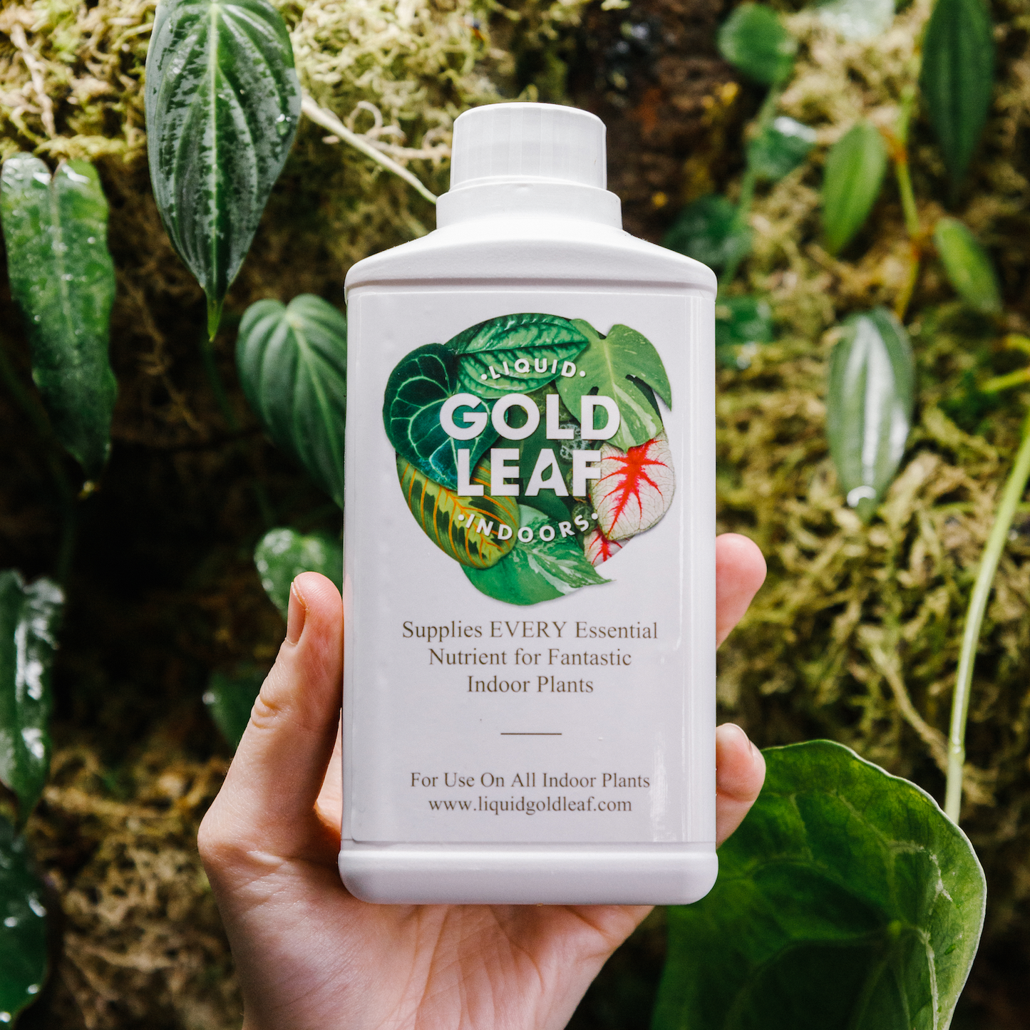 Liquid Gold Leaf – Soil Ninja