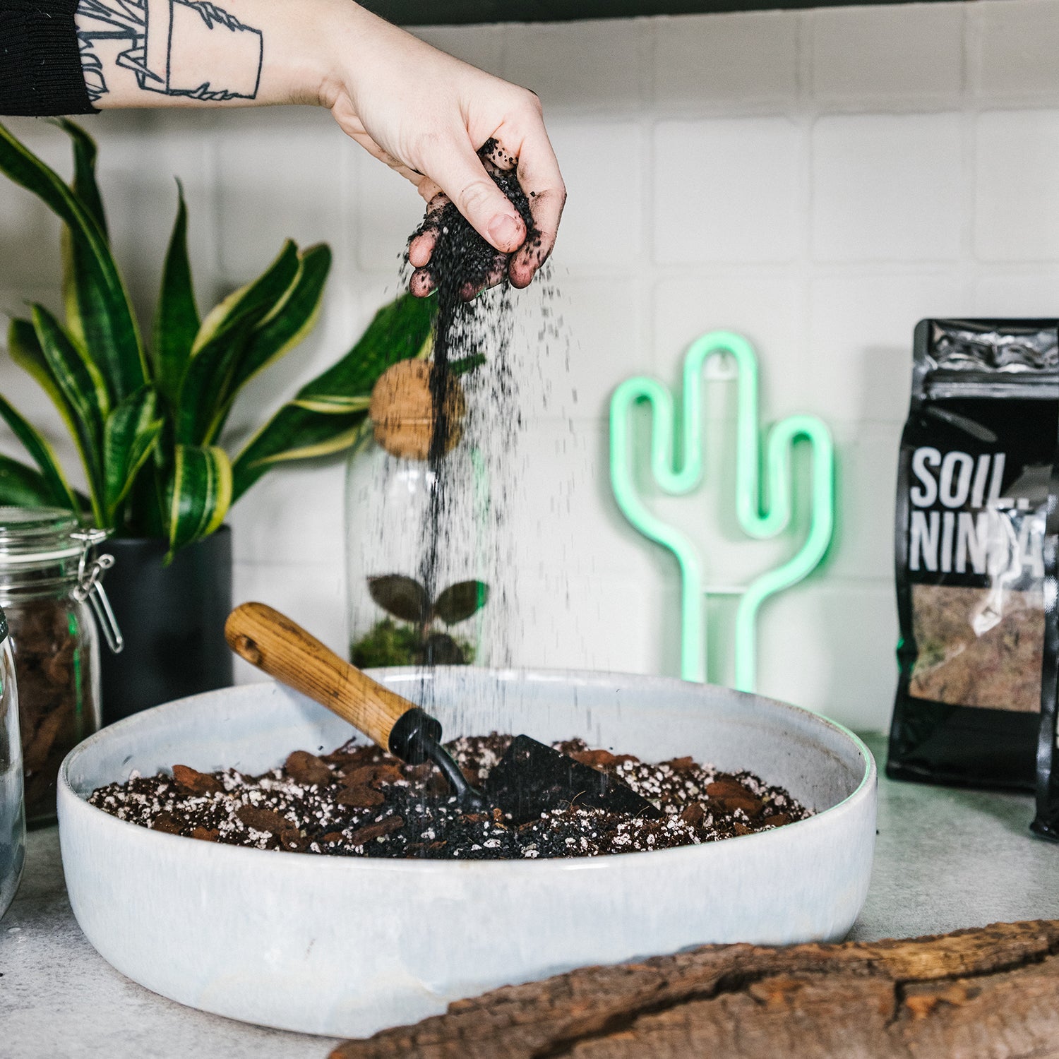 activated charcoal for potted plants Activated Charcoal – Soil Ninja