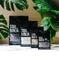 Premium Ficus Blend