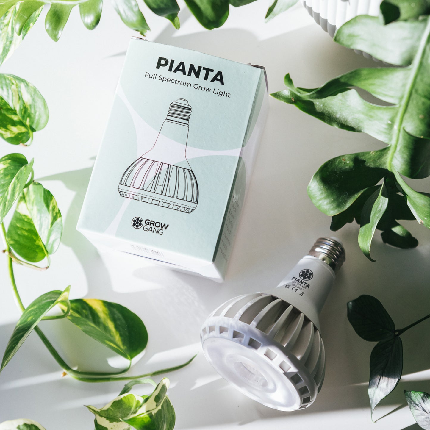 Pianta Grow Light