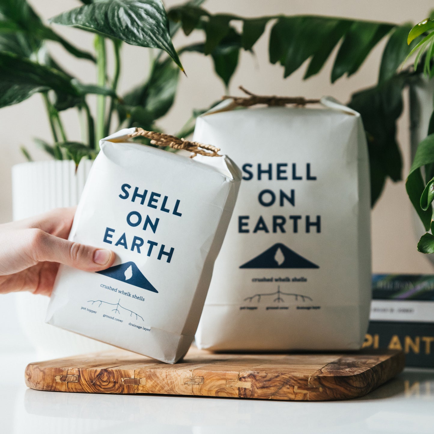 Shell on Earth