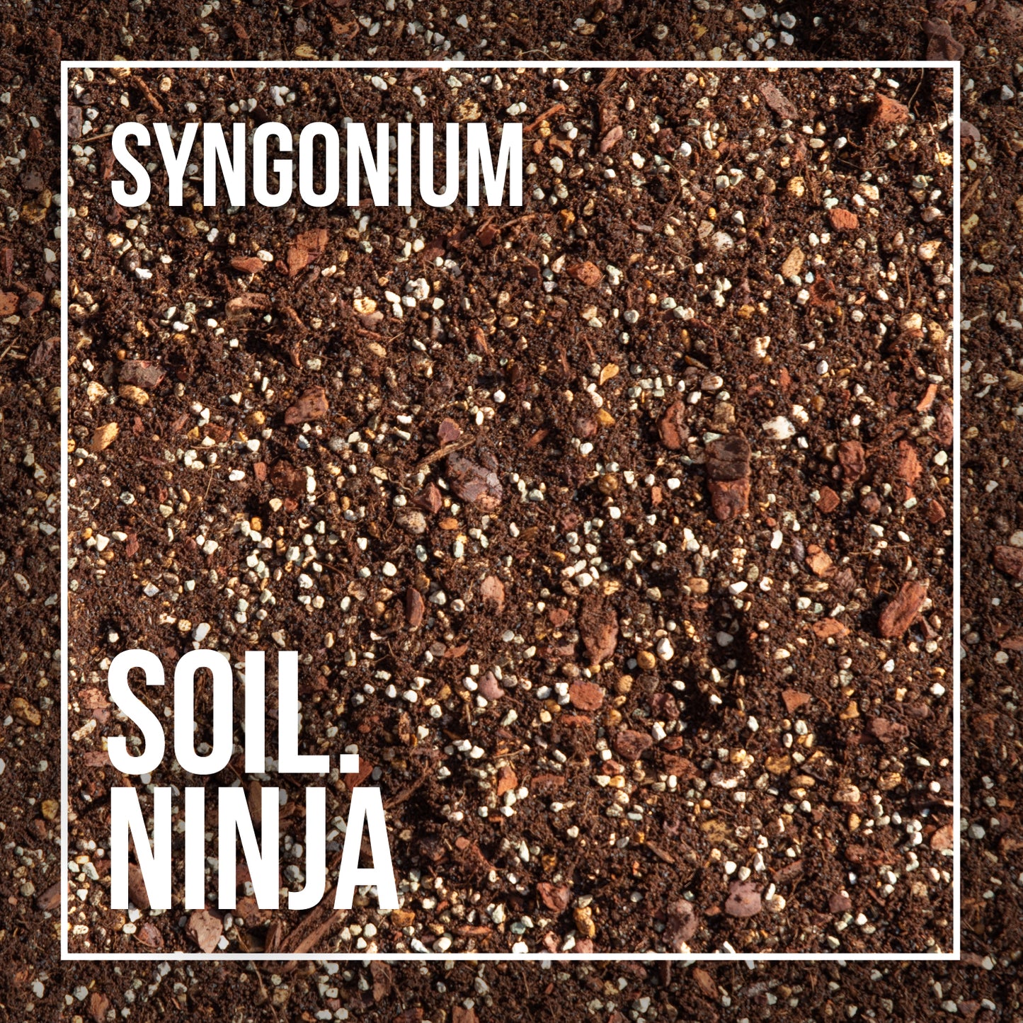 Premium Terrarium Blend – Soil Ninja