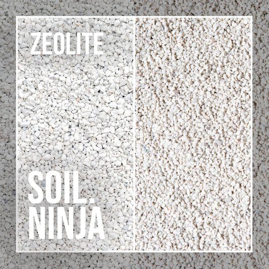 Zeolite [Coarse & Fine]