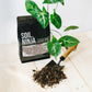 Premium Syngonium Blend